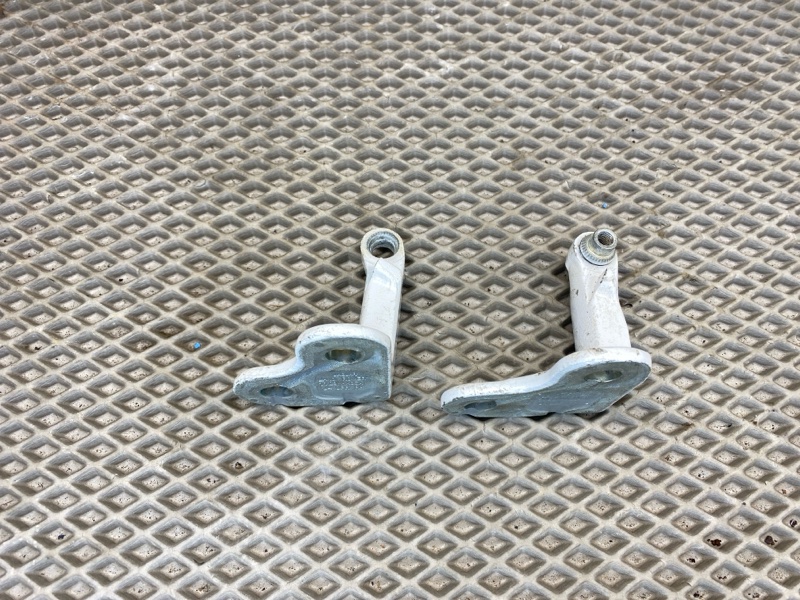 Петля двери Land Rover Range Rover Sport (L461, 2023г.)