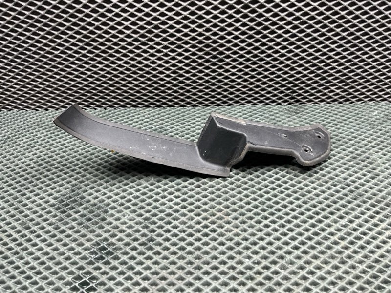 Пыльник фонаря Land Rover Range Rover Sport (L461, 2025г.)