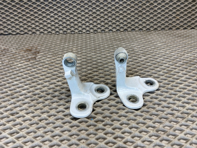 Петля двери Land Rover Range Rover Sport (L461, 2023г.)