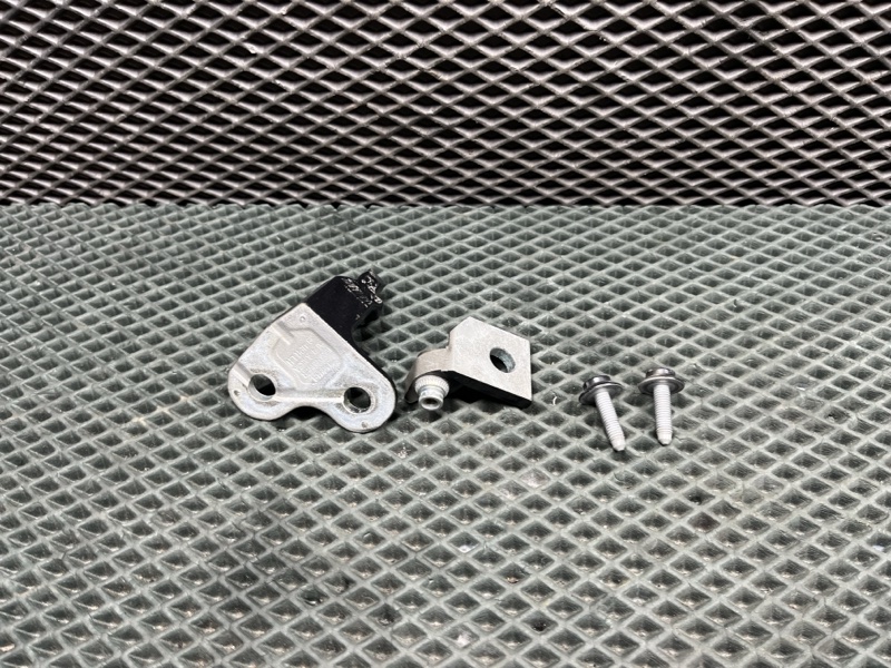 Петля двери Land Rover Range Rover Sport (L461, 2025г.)