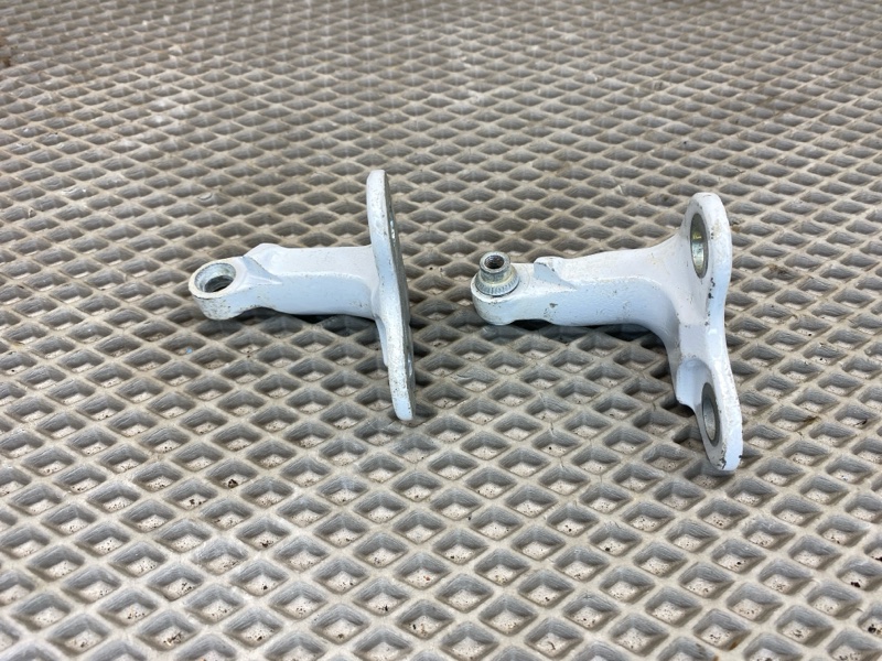 Петля двери Land Rover Range Rover Sport (L461, 2023г.)