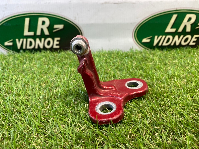 Петля двери Land Rover Range Rover Sport (L494, 2019г.)