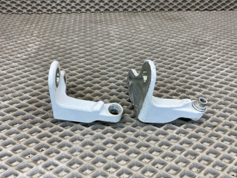 Петля двери Land Rover Range Rover Sport (L461, 2023г.)