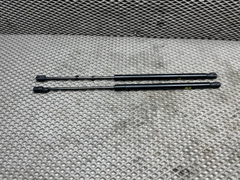 Амортизатор стекла двери багажника Land Rover Range Rover Sport (L320, 2011г.)