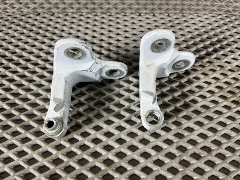 Петля двери Land Rover Range Rover Sport (L461, 2023г.)