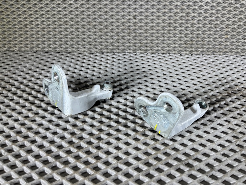 Петля двери Land Rover Range Rover Sport (L461, 2023г.)