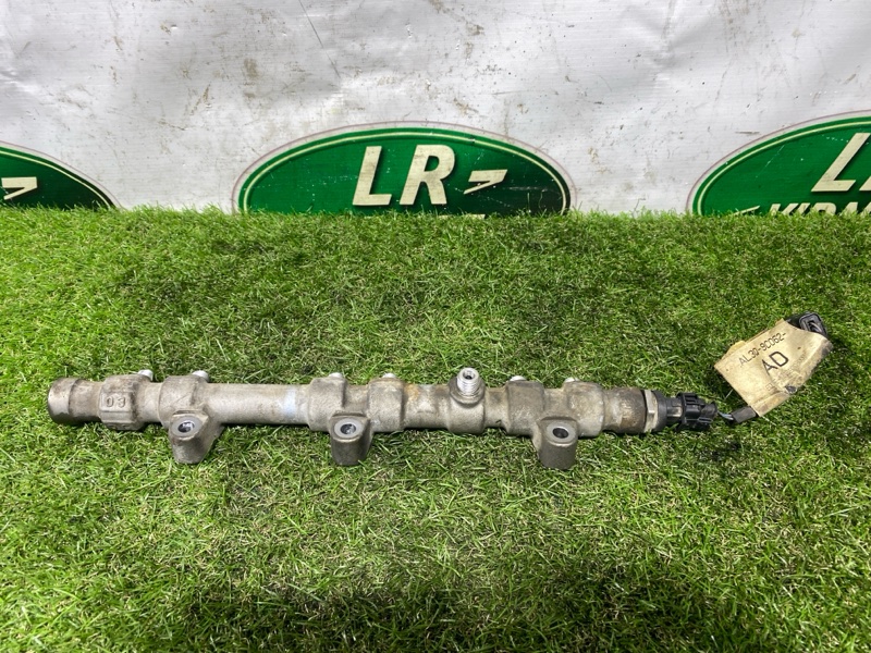 Топливная рампа Land Rover Range Rover (L322, 2010г.)