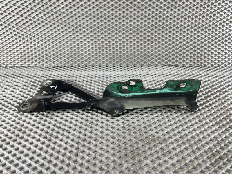 Петля капота Land Rover Range Rover Velar (L560, 2020г.)