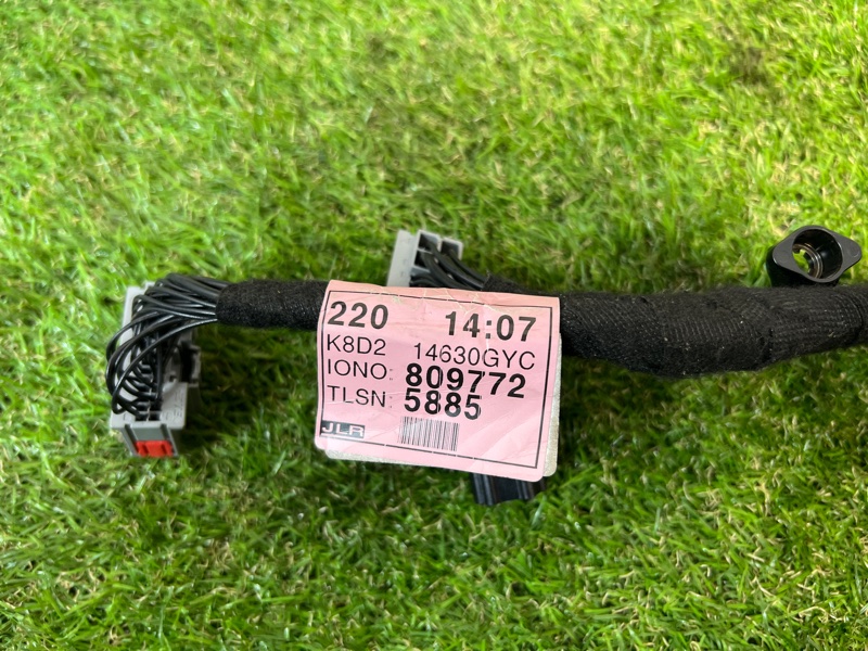 Проводка двери Land Rover Range Rover Evoque (L551, 2020г.)