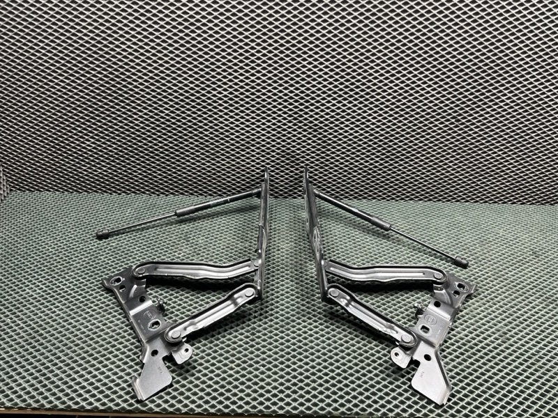 Петля капота Land Rover Range Rover Sport (L461, 2025г.)