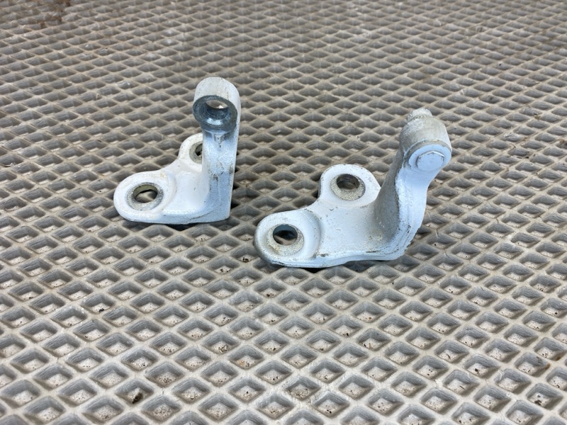Петля двери Land Rover Range Rover Sport (L461, 2023г.)