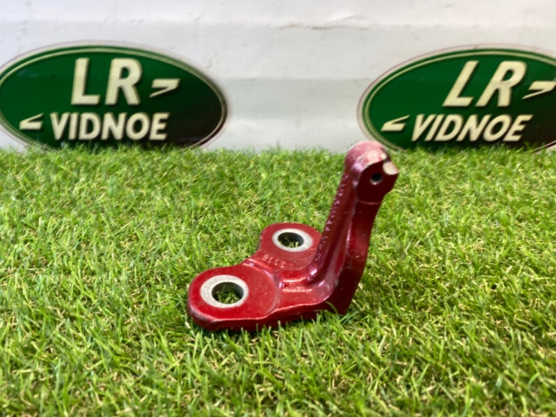 Петля двери Land Rover Range Rover Sport (L494, 2019г.)