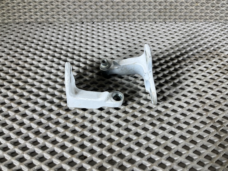Петля двери Land Rover Range Rover Sport (L461, 2023г.)