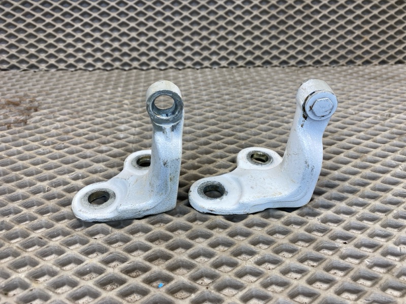Петля двери Land Rover Range Rover Sport (L461, 2023г.)