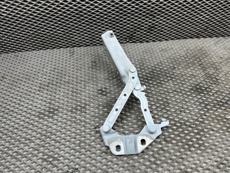 Петля капота Land Rover Discovery Sport (L550, 2017г.)