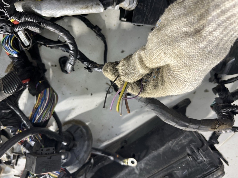Проводка Land Rover Range Rover Sport (L494, 2020г.)