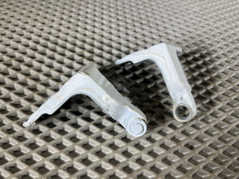 Петля двери Land Rover Range Rover Sport (L461, 2023г.)