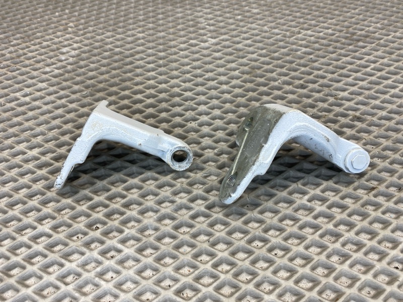 Петля двери Land Rover Range Rover Sport (L461, 2023г.)