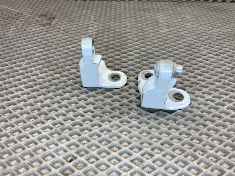 Петля двери Land Rover Range Rover Sport (L461, 2023г.)